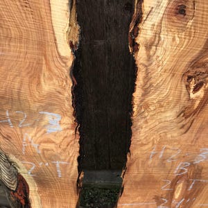 Pu&ograve; includere: Due lastre di legno non rifinite con bordi naturali. Le lastre sono marrone chiaro con fessure marrone scuro e nere. Le misure bianche sono scritte sul legno. Le lastre sono larghe circa 61 cm.