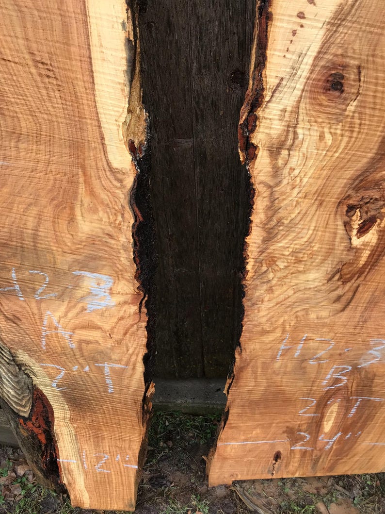 Pu&ograve; includere: Due lastre di legno non rifinite con bordi naturali. Le lastre sono marrone chiaro con fessure marrone scuro e nere. Le misure bianche sono scritte sul legno. Le lastre sono larghe circa 61 cm.