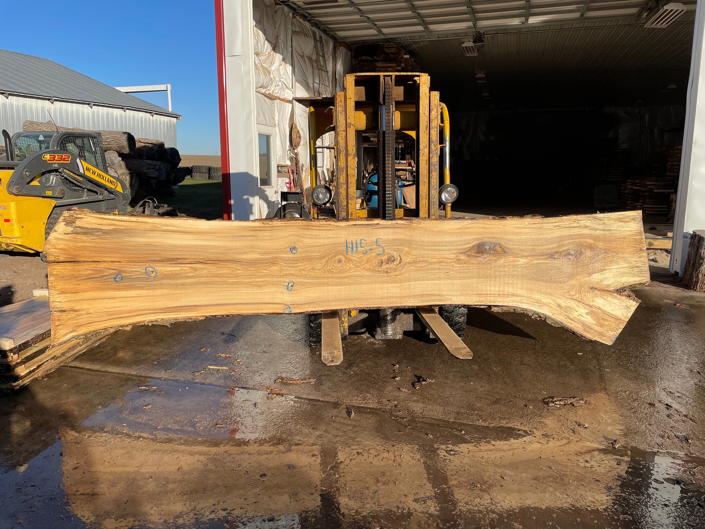 Hackberry Natural Edge Slab #12-2-21-04