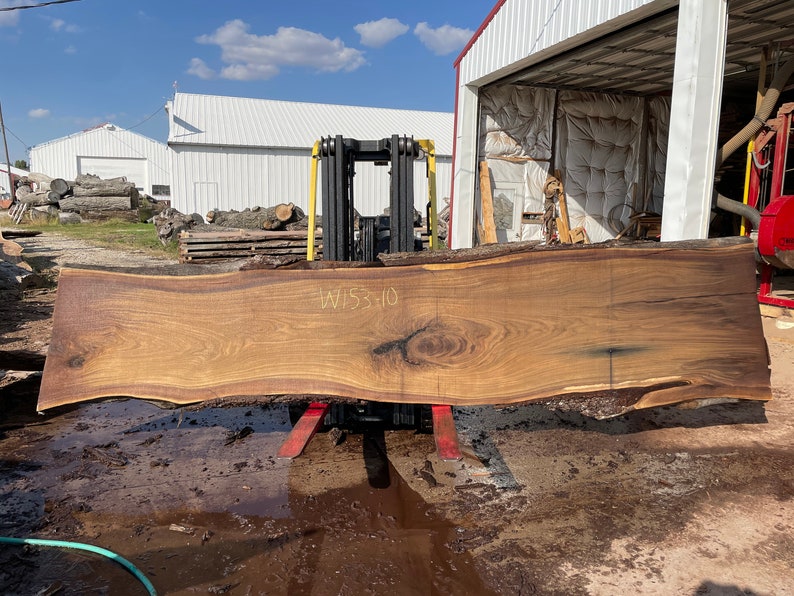 Op de afbeelding: Een grote, bruine houten plaat met een natuurlijke rand en een knoop in het midden. De plaat wordt opgetild door een vorkheftruck en het nummer "WIS3-10" staat op het oppervlak.