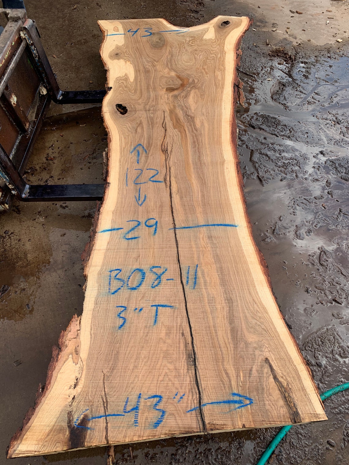 Live Edge Slab in Beautiful Burr Oak Perfect for Epoxy Table Etsy