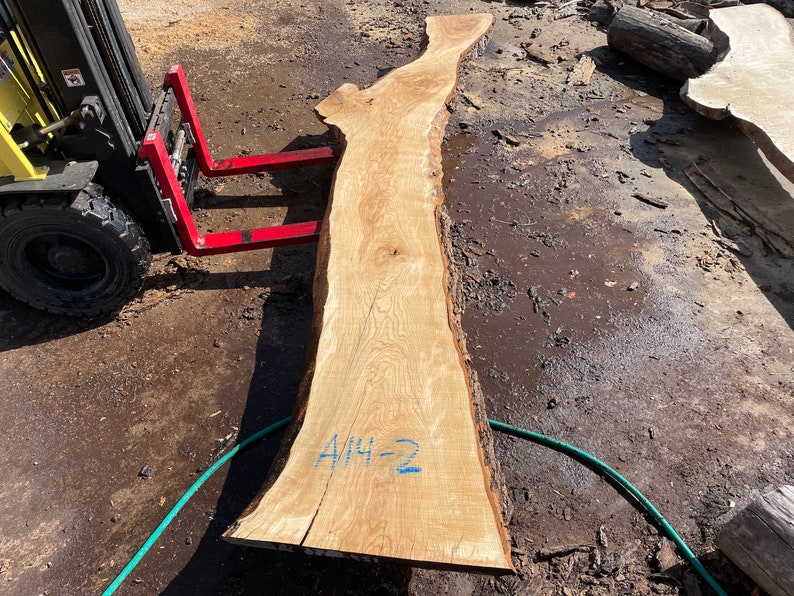 May include: A large, unfinished slab of light-colored wood with a natural edge. The wood grain is visible, and the slab has a rough, textured surface. The text "A/14-2" is written on the wood. A forklift is in the background.