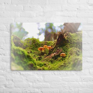 Micro Mushys Thin canvas print