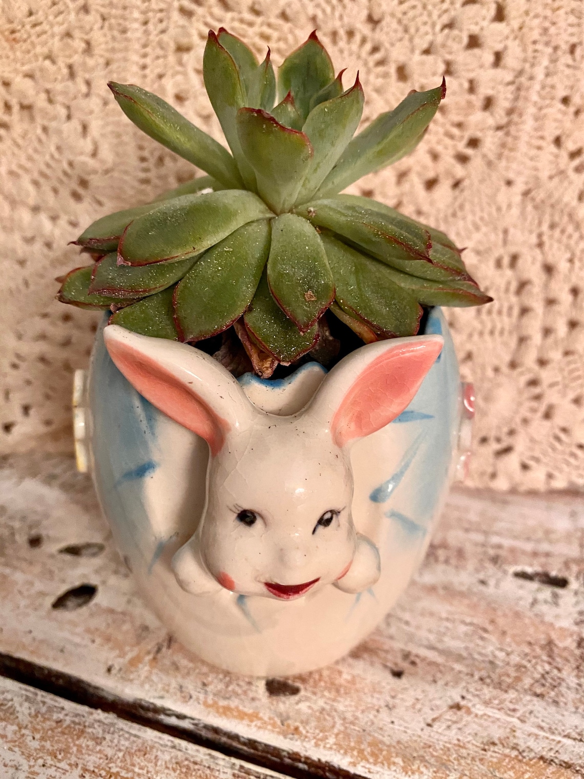 Vintage Easter Bunny Planter/ Vintage Bunny Suculent Air Plant Etsy