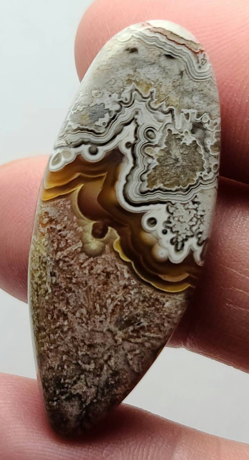 Crazy Lace Agate Cabochons