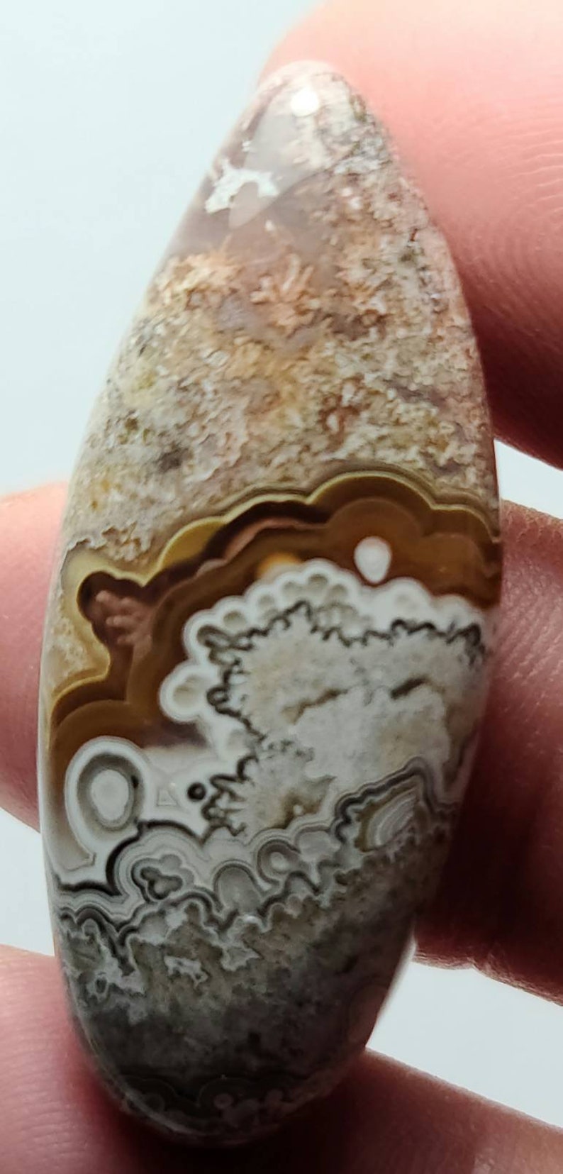 Crazy Lace Agate Cabochons