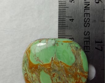 Australian Variscite with vinyl back.