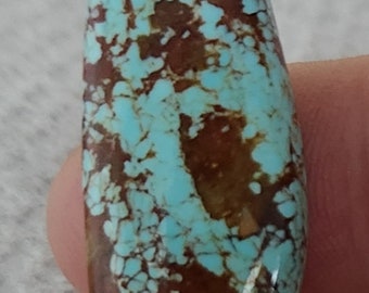 Nevada turquoise mijn #8 cabochon