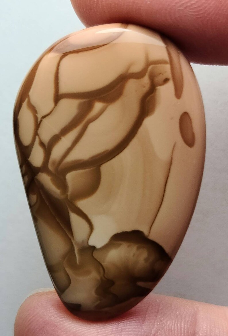 Willow Creek Jasper Cabochon