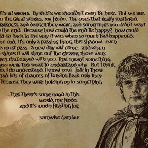 The Stories that Really Mattered - Samwise Gamgee