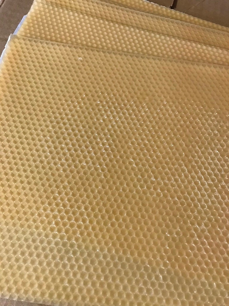 Beeswax Honeycomb Sheets  10 Full Size 8 x 16½ Sheets