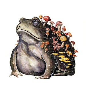 Toadstool, Toad Art, Fantasy Road Art, Mushroom Art, Cottagecore
