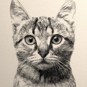 Custom Pencil Pet Portraits, Personalised Hand Drawn Portraits , Custom Pencil Drawing, Custom Pet Portrait