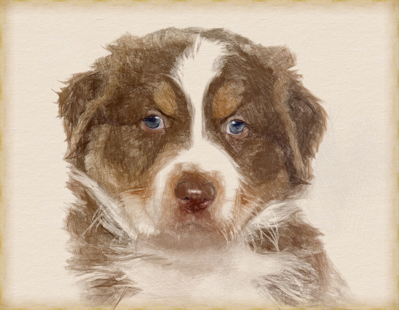 Custom Graphite Pet Portraits Personalised Hand Drawn Etsy