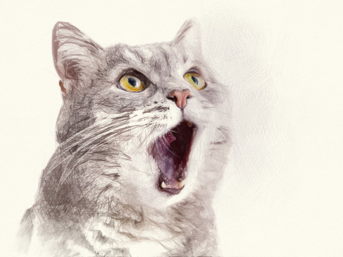 Custom Graphite Pet Portraits Personalised Hand Drawn Etsy