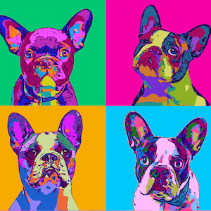 Retrato personalizado de arte pop para mascotas DIGITAL, arte pop colorido dibujado a mano, perro personalizado, arte pop de gato. Arte pop a partir de fotografías, impresión de gatos, arte personalizado para mascotas