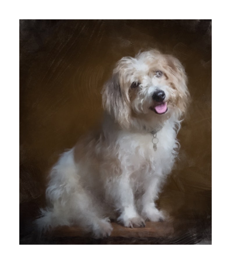 Custom made Pet Portrait Custom dog portrait An unique gift for pet lovers Pet cat portrait Custom pet painting