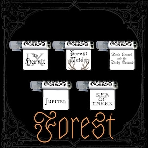 FOREST Perfume Oil Sample Pack - Forest Scents - 5 Unique Fragrances - Vegan & Cruelty Free