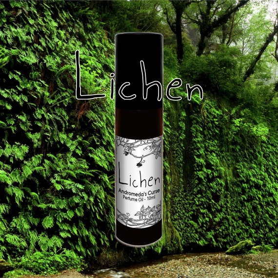 Lichen - Moss, Ferns, Water - Rollerball Perfume Oil - Vegan & Cruelty Free
