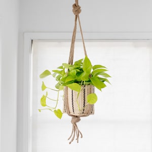 May include: A hanging planter made of natural rope with a woven, striped, beige and black pot. The pot contains a green leafy plant.