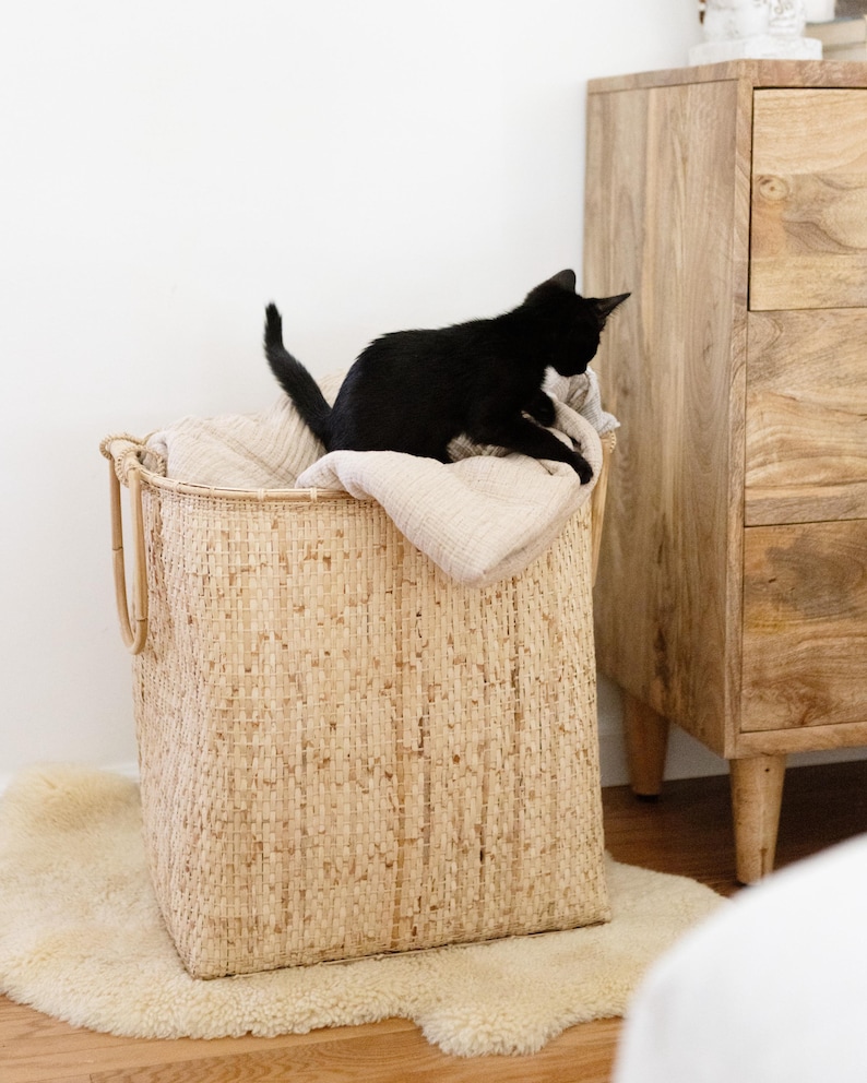May include: A black cat sitting on a woven wicker laundry basket with a beige blanket inside. The basket is on a white fluffy rug in front of a wooden dresser.