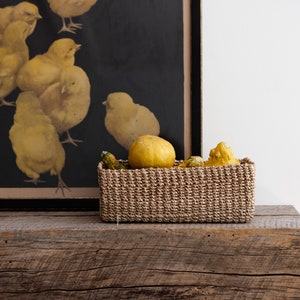 Seagrass Small Basket, Rectangular Basket, Boho Woven Tray, Handmade Storage Basket, Herbs Planter, Small Basket Tray, Tabletop Basket