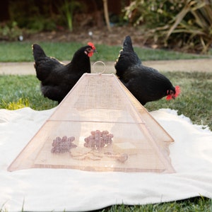 Natural Woven Food Cover, Mesh Net Food Tent, Outdoor Decor, Pentagon Shaped Food Cover, BBQ Plate Cover, Food Protector, Dome Cover