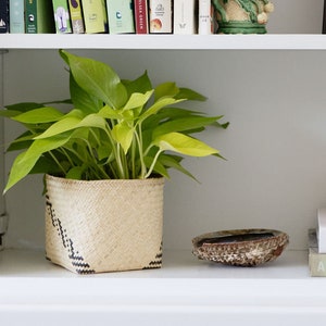 Op de afbeelding: Een witte boekenkast met een groene plant in een geweven mand, een schelp en een stapel boeken met de titel "The Kitchen" van Annie Leibovitz.