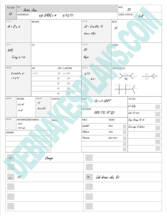 1 Patient ICU Nursing Assignment Sheet