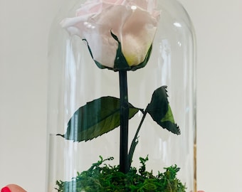 CRYSTAL BELL with PRESERVED ROSE