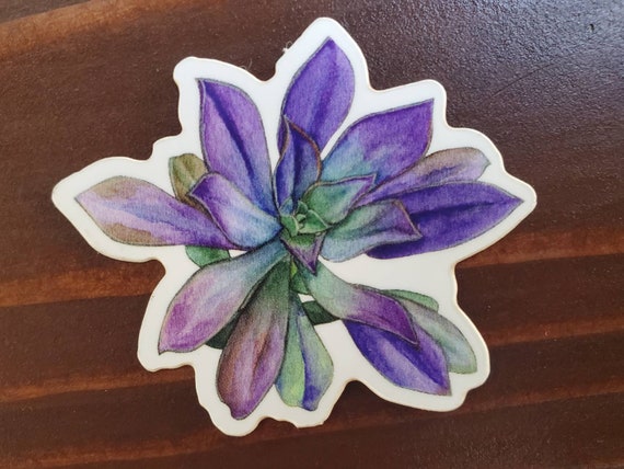 Small Vinyl Watercolor Sticker: Colorful Succulent- 2 Inch Sticker, Botanical, Nature, Plant, Flower,  Hiking, Camping, Outdoors