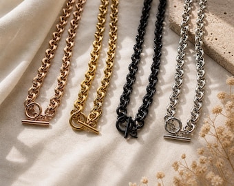 Halsband med grovt rostfritt stållänkkedje, gem-stil