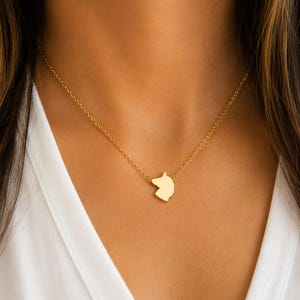 May include: A gold-toned necklace featuring a small, flat pendant shaped like the silhouette of the state of New Jersey. The pendant is attached to a delicate, thin gold-toned chain that rests against the neck, providing a simple and clean look.