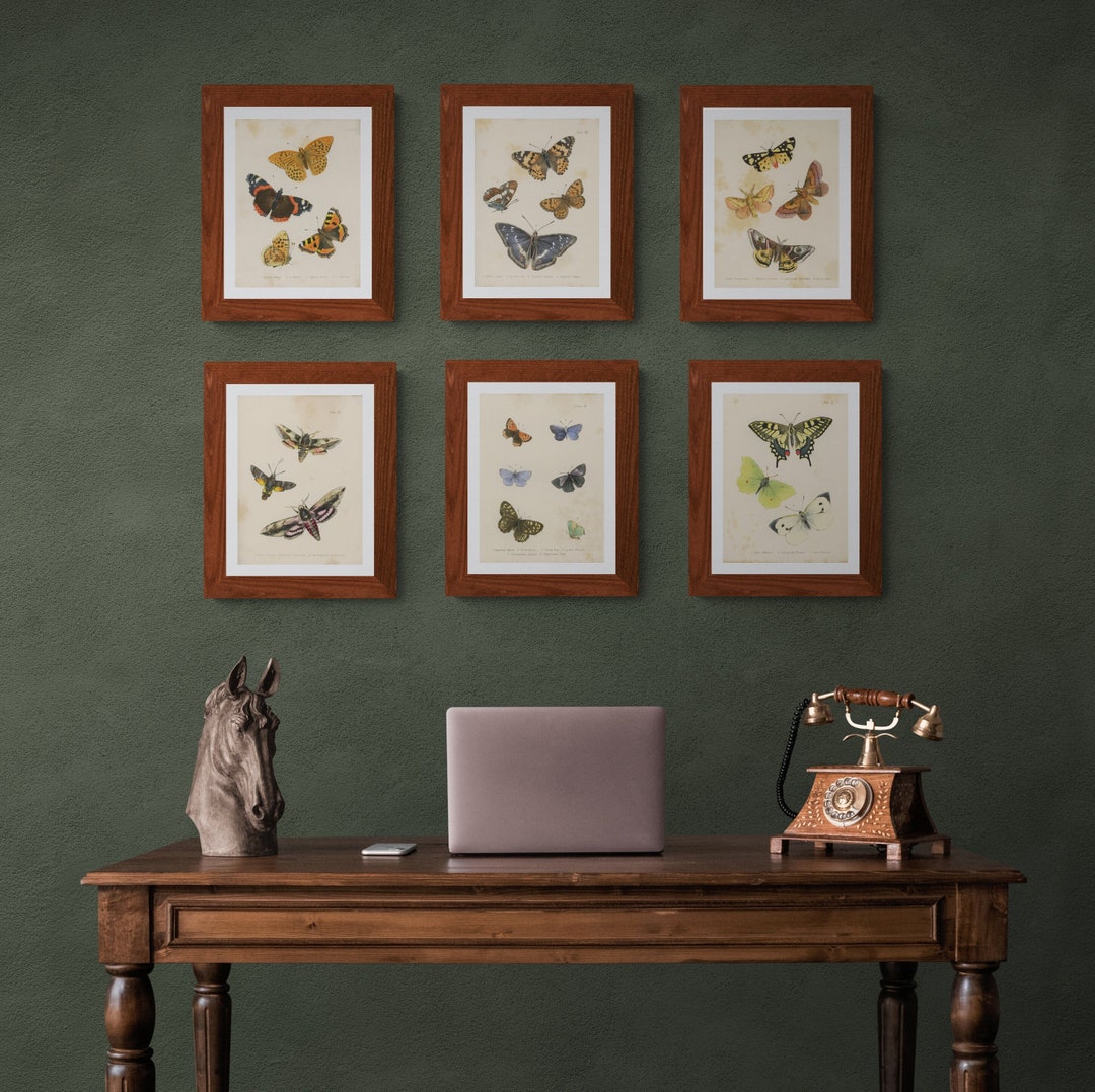 Set of 6 Vintage Butterflies and Moths Instant Downloadable Wall Art ...
