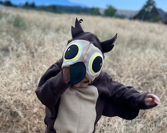 Cozy Owl Costume Hoodie, Kids Fleece Toddler Pullover, Cute Winter Outfit