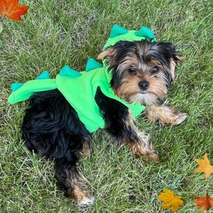 Dinosaur Dog Costume, Handmade Fleece Halloween Pet Dress-Up, Festive Dog Halloween Outfit