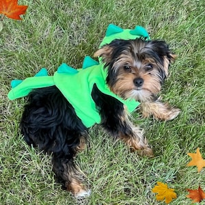 Dinosaur Dog Costume, Handmade Fleece Halloween Pet Dress-Up, Festive Dog Halloween Outfit