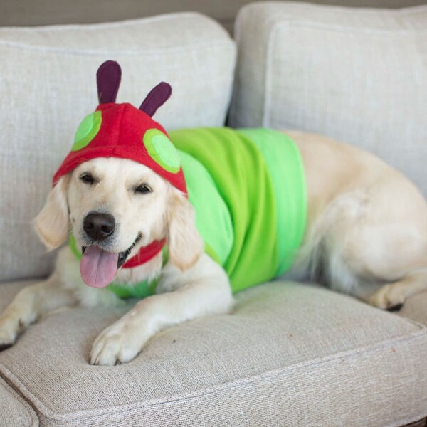 Caterpillar Costume Etsy