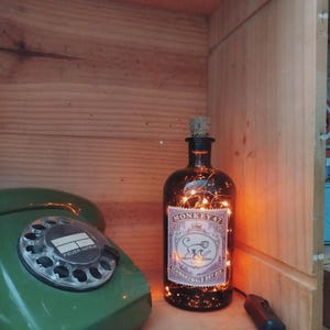 LED gin bottles with USB cable (Tanqueray, Tanquerat Ten, Tanqueray Sevilla, Absolut Vodka LGBTQ, Espolon, Nikka, Silent Pool, Vermouth) image 8