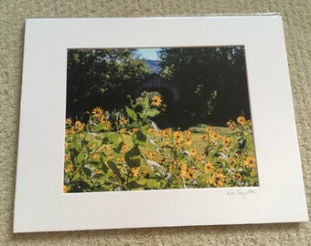 Wildflowers and a Covered Bridge