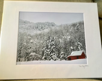 Puede incluir: Un paisaje invernal nevado con una cabaña roja enclavada en los árboles. Los árboles están cubiertos de nieve y el cielo es de un azul claro.