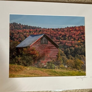 Autumn Scenery