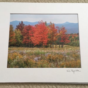 Autumn Scene