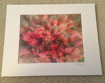 Foto artistica di ortensia e dalia mescolate