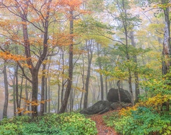 Fog at Smuggs