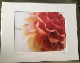 Foto con passepartout di Dahlia Layers