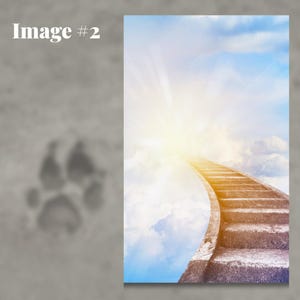 pet memorial funeral service card