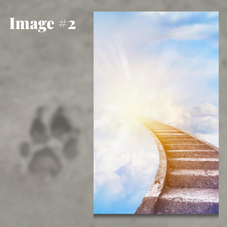 pet memorial funeral service card
