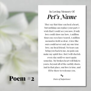pet memorial funeral service card