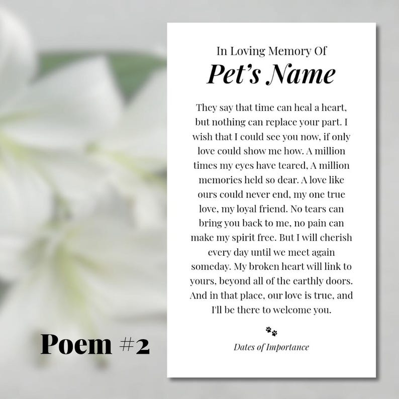 pet memorial funeral service card